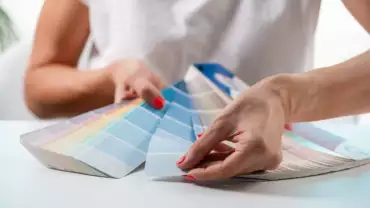 Color Theory in Interior Design